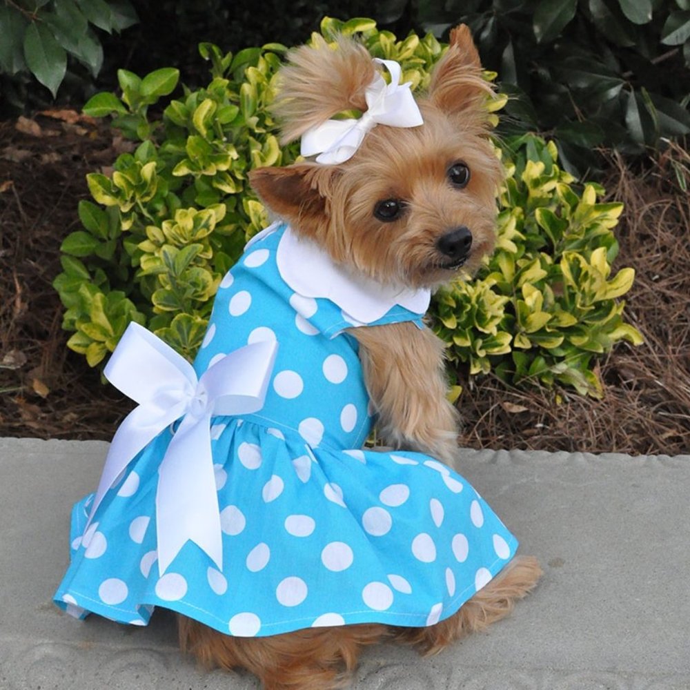 Blue Polka Dot Dog Dress in X-Small